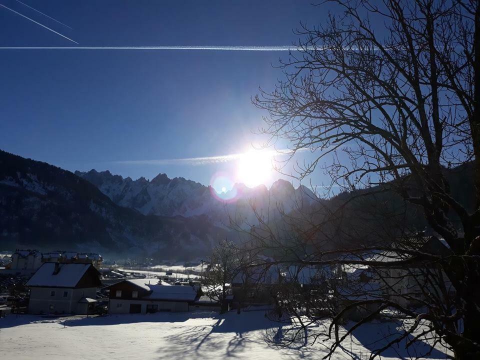 Dachstein View Ski Apartment Гозау Экстерьер фото